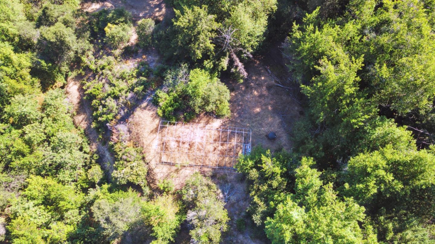 520 Laguna Creek Road Los Gatos, CA 95033 - Photo 63 of 75 a plant that is in a garden