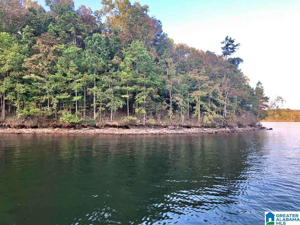3292 County Road Wedowee, AL 36278 - Photo 1 of 9