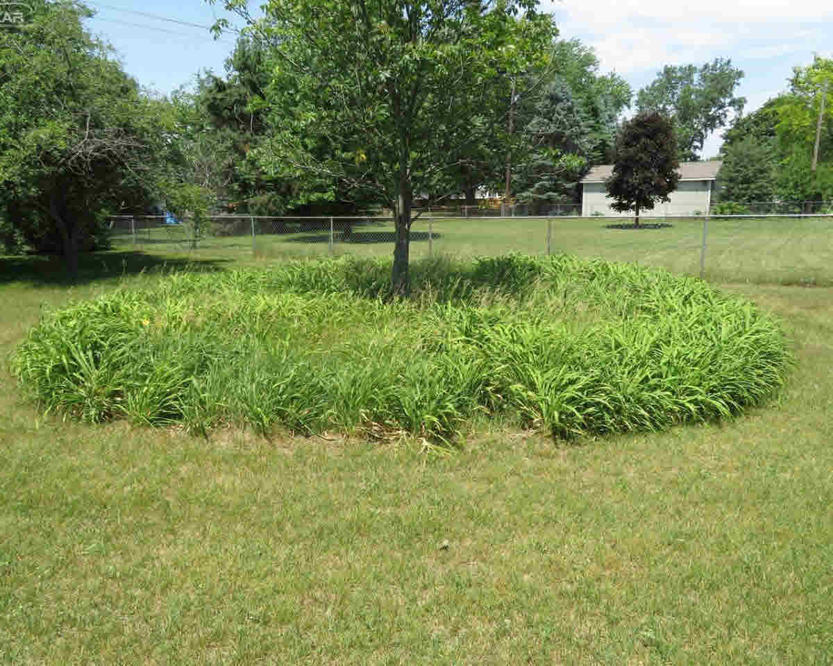 5509 North Seymour Road Flushing, MI 48433 - Photo 17 of 37 21311562-17.JPG