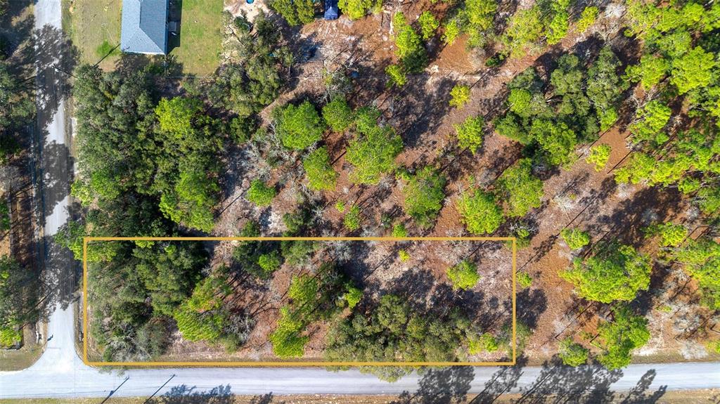 Undetermined Dunnellon, FL 34431 - Photo 1 of 1 Gallery Image 1