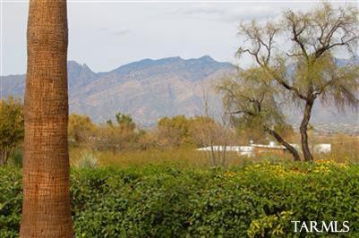 5000 East Grant Road, Unit 226 Tucson, AZ 85712 - Photo 4 of 15