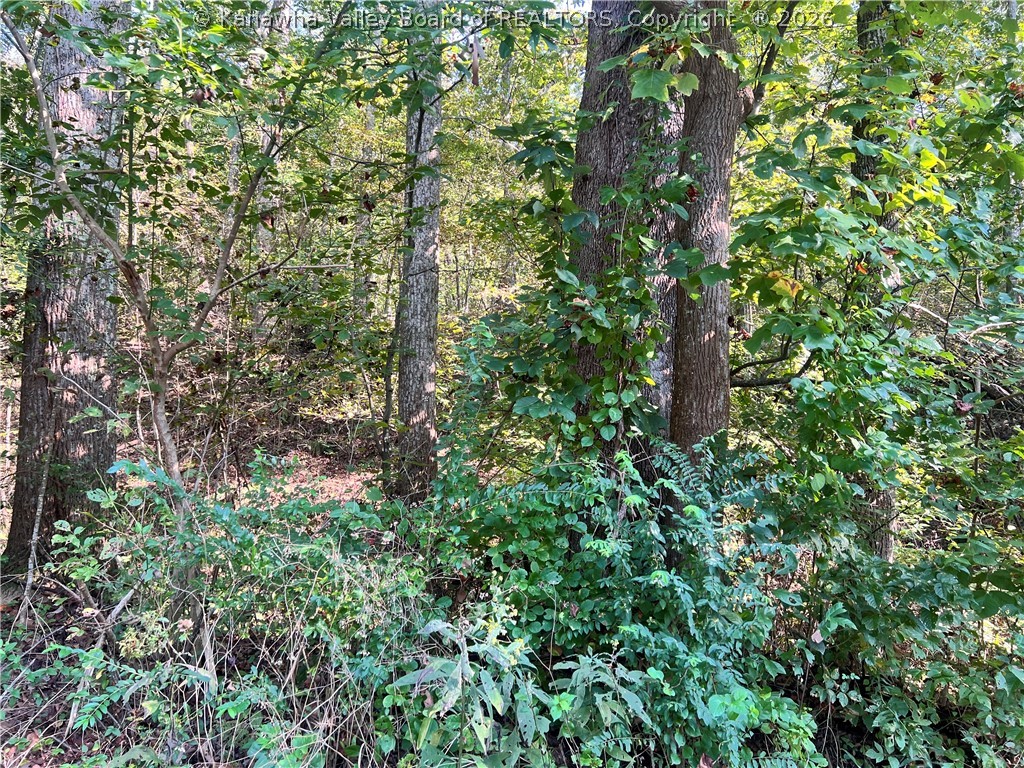 9405 Jim Hill Road Henderson, WV 25106 - Photo 3 of 5 Gallery Image 3