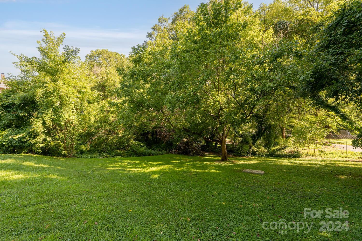 151 Reed Street Asheville, NC 28803 - Photo 28 of 32 Gallery Image 28