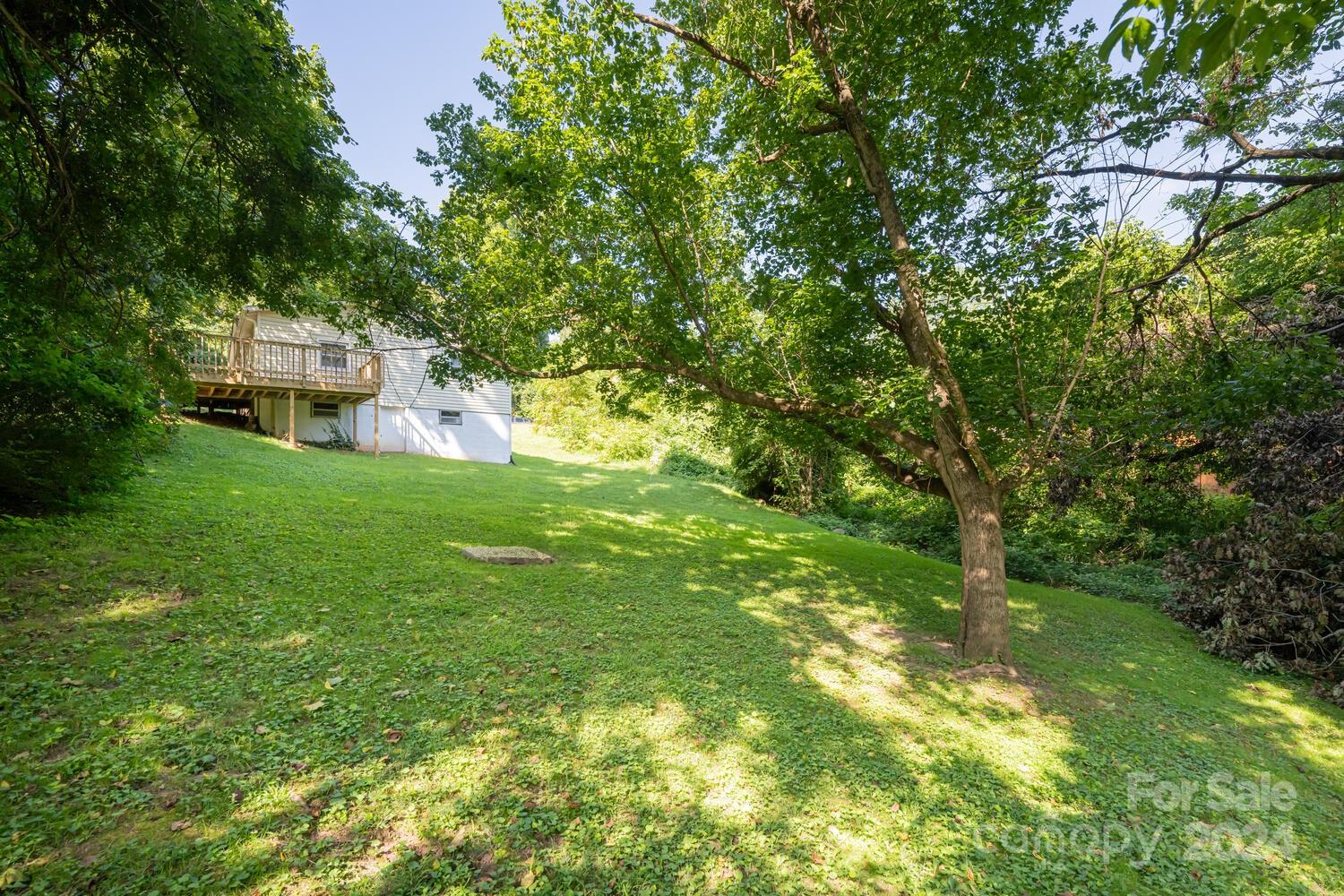 151 Reed Street Asheville, NC 28803 - Photo 30 of 32 Gallery Image 30