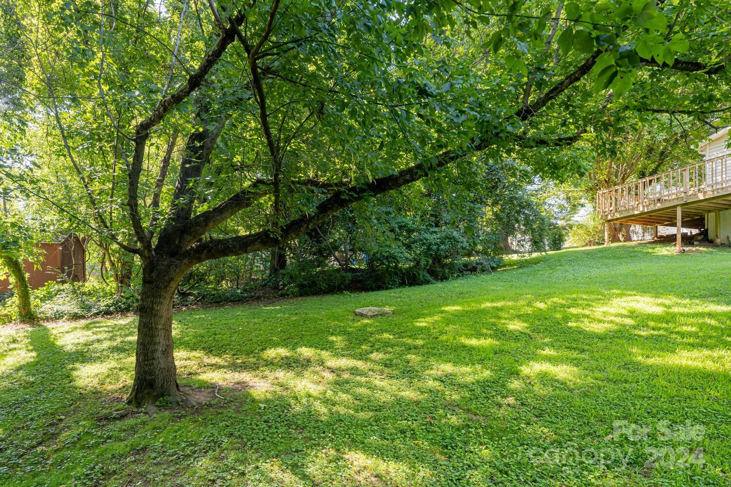 151 Reed Street Asheville, NC 28803 - Photo 32 of 32 Gallery Image 32