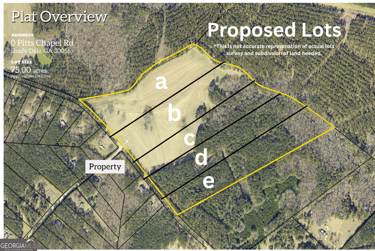 Lot B 0 Pitts Chapel Road Monticello, GA 31064 - Photo 1 of 5