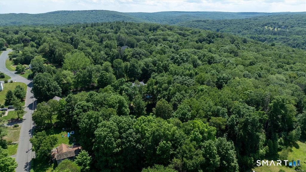 Lot 3 Verville Road Avon, CT 06001 - Photo 5 of 5 a view of a lush green forest with trees and some houses
