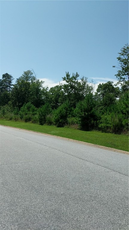 Lot 43 Waterford Ridge Seneca, SC 29672 - Photo 2 of 9 Gallery Image 2