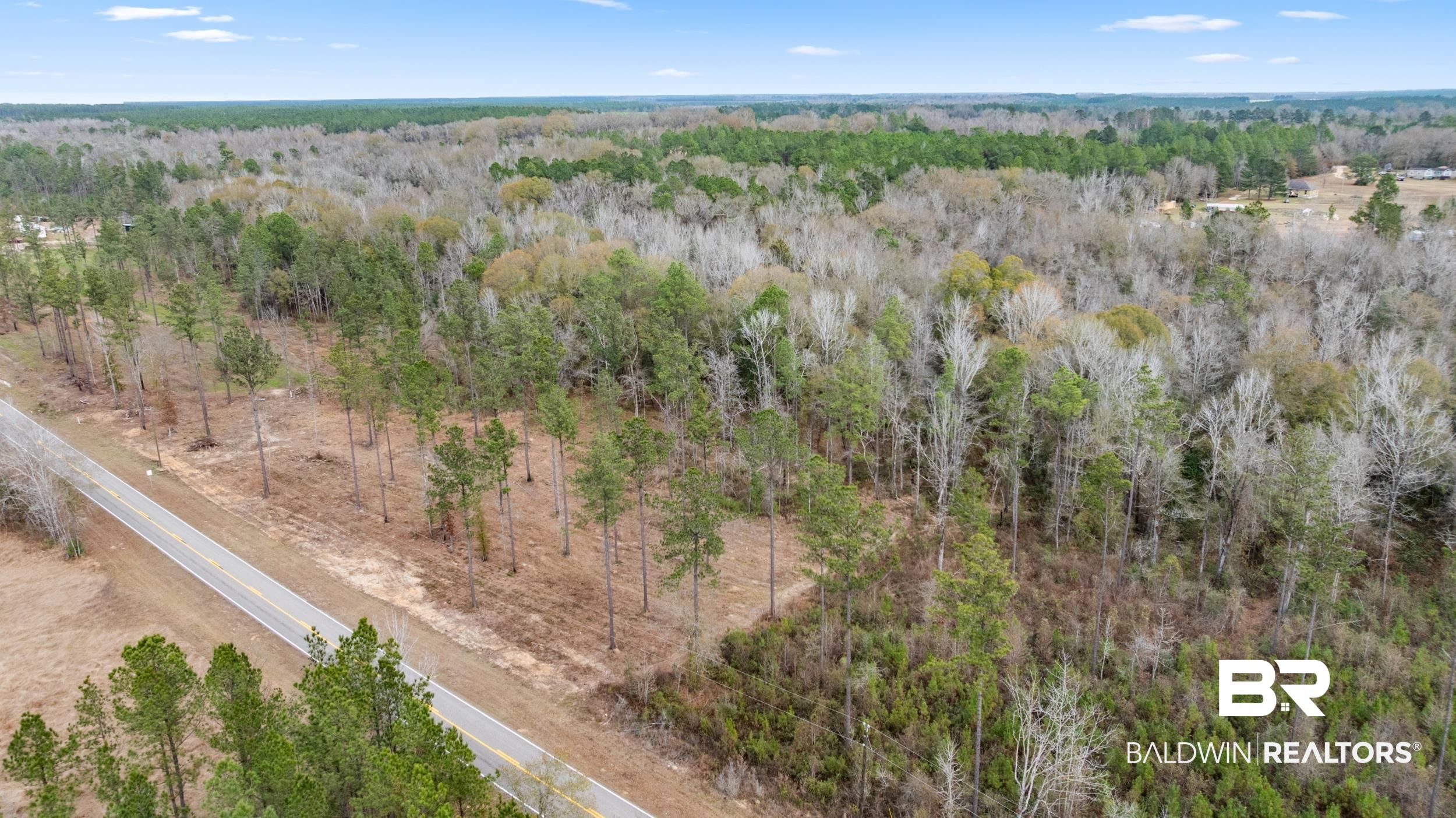 0 Lottie Road Atmore, AL 36502 - Photo 13 of 17 Drone / aerial view of a forest