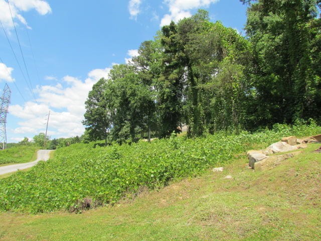 0 Hales Bar Road Guild, TN 37340 - Photo 7 of 14 Gallery Image 7