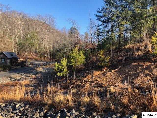 116 Summit Trails Drive Sevierville, TN 37862 - Photo 8 of 13