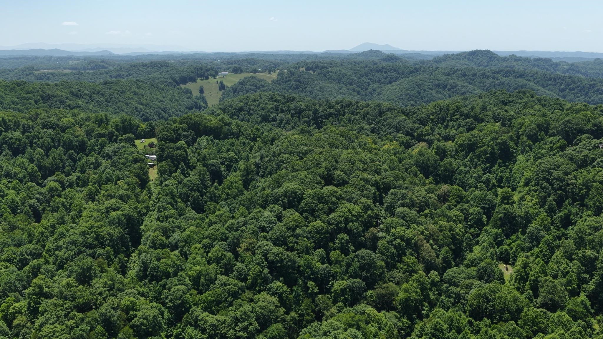 Tbd Osborne Mountain Road Raven, VA 24639 - Photo 6 of 27 Gallery Image 6
