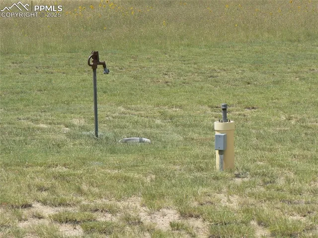 a view of a bunch of trees in a field