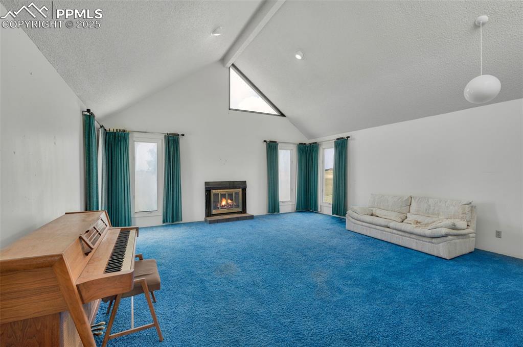 24975 Sanborn Road Calhan, CO 80808 - Photo 8 of 50 Beautiful valuted ceiling with skylights on each end of the room