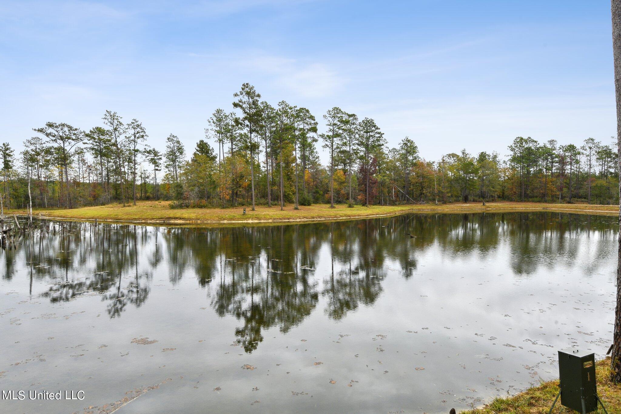 Nhn Robert Merrick Road Poplarville, MS 39470 - Photo 31 of 61 033