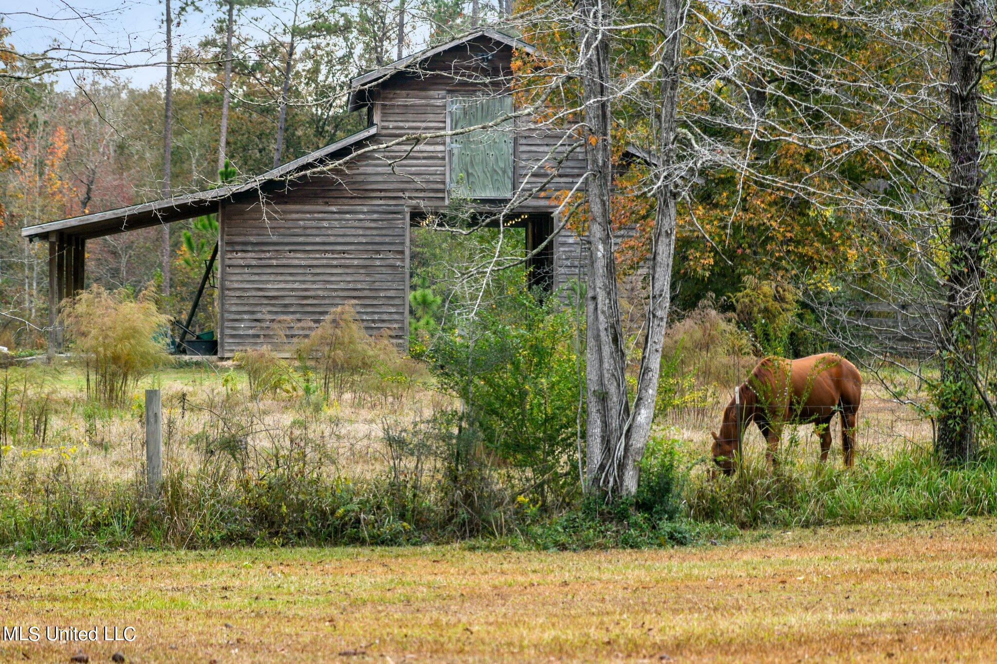 Nhn Robert Merrick Road Poplarville, MS 39470 - Photo 48 of 61 051