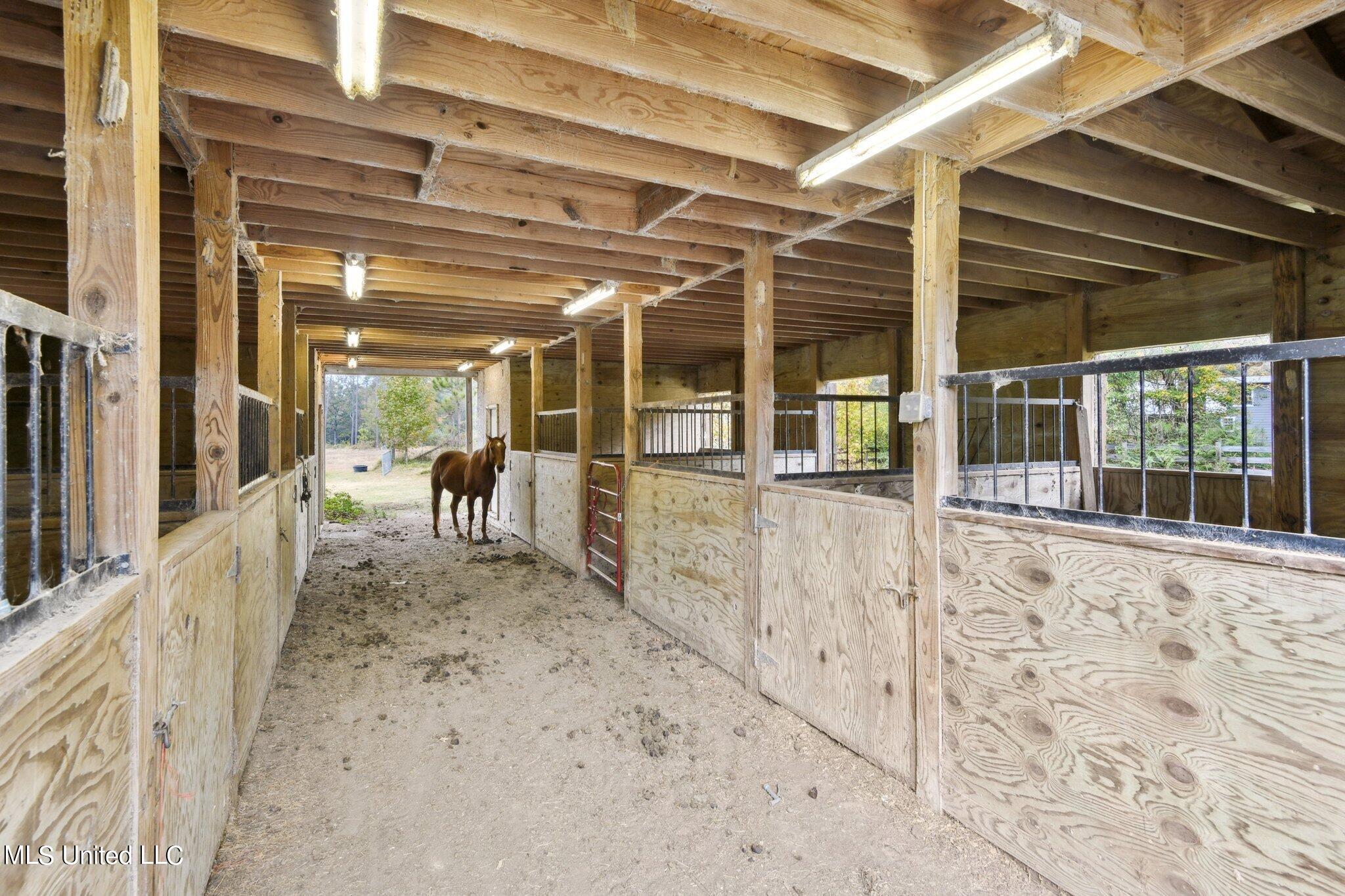 Nhn Robert Merrick Road Poplarville, MS 39470 - Photo 50 of 61 053