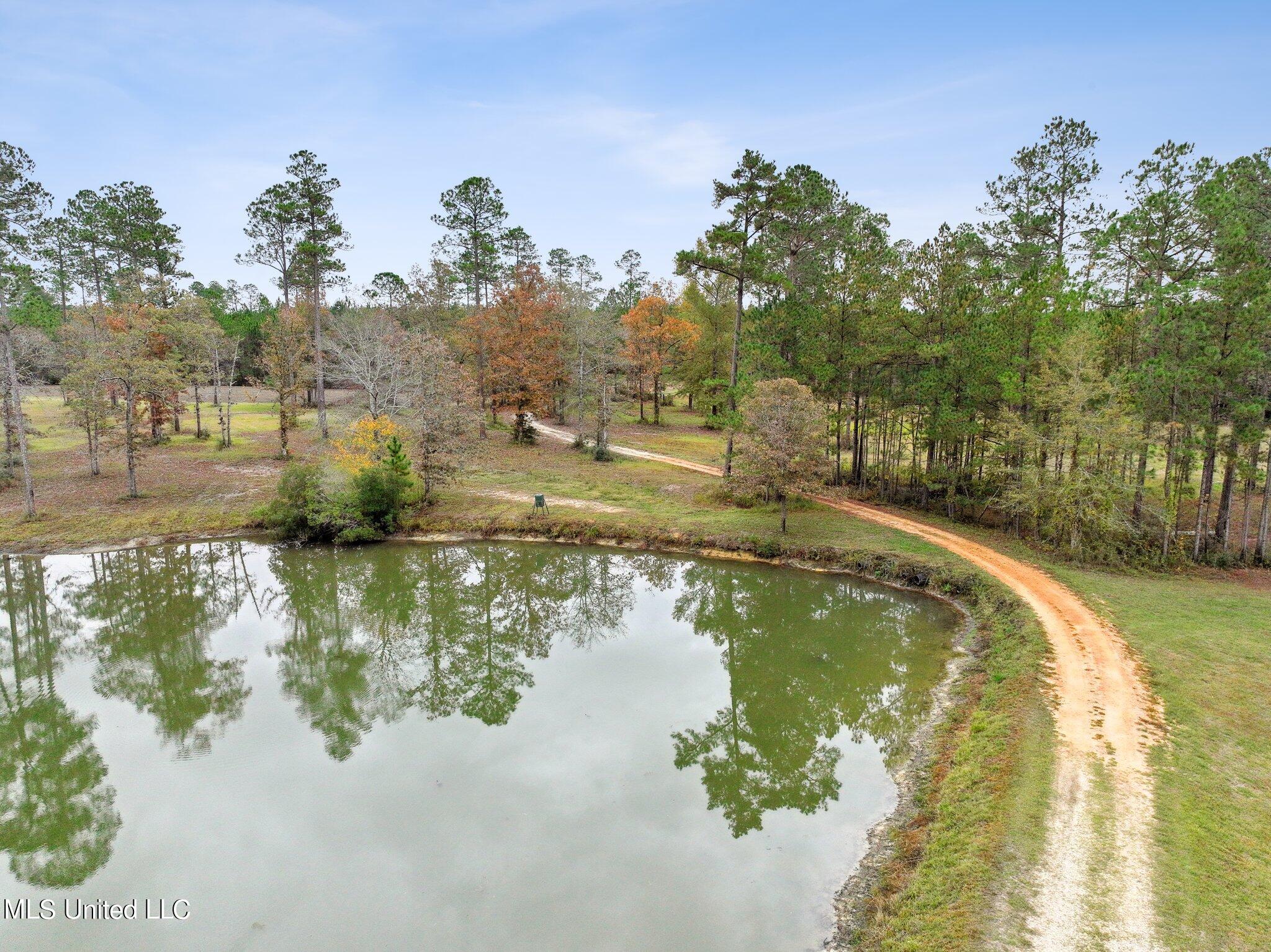 Nhn Robert Merrick Road Poplarville, MS 39470 - Photo 53 of 61 056