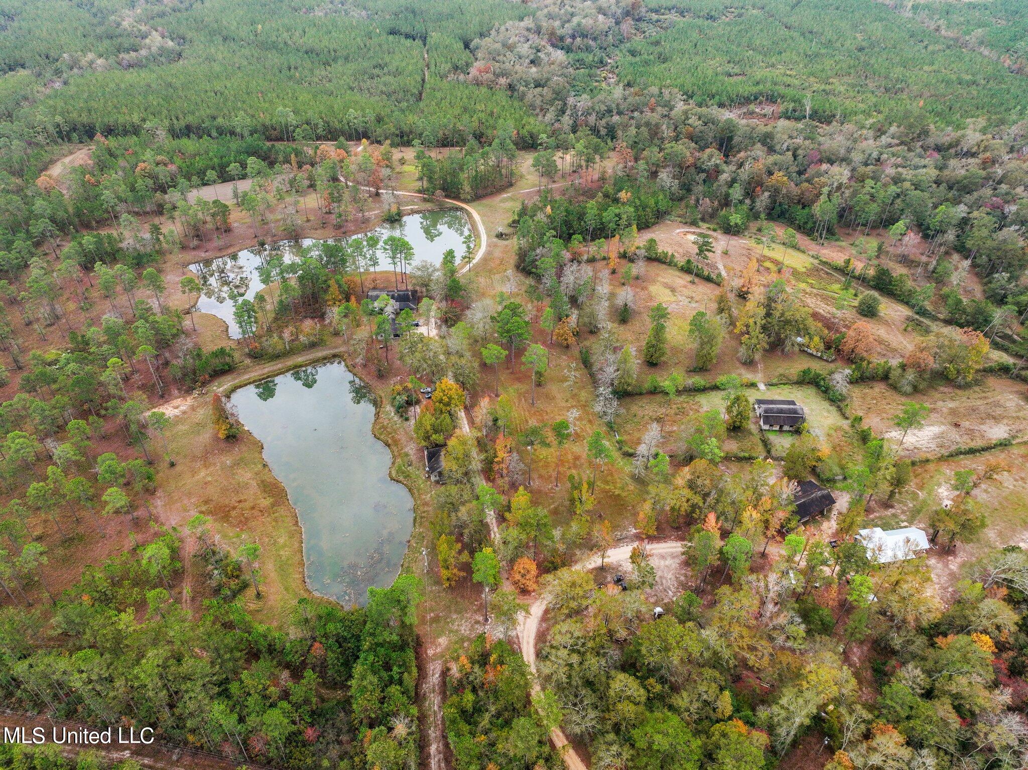 Nhn Robert Merrick Road Poplarville, MS 39470 - Photo 54 of 61 101