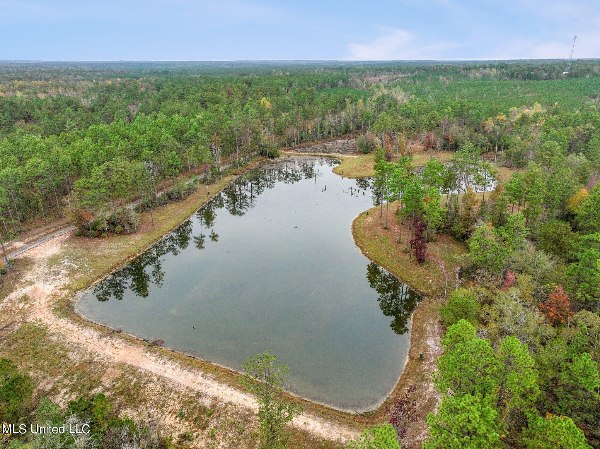 Nhn Robert Merrick Road Poplarville, MS 39470 - Photo 56 of 61 103