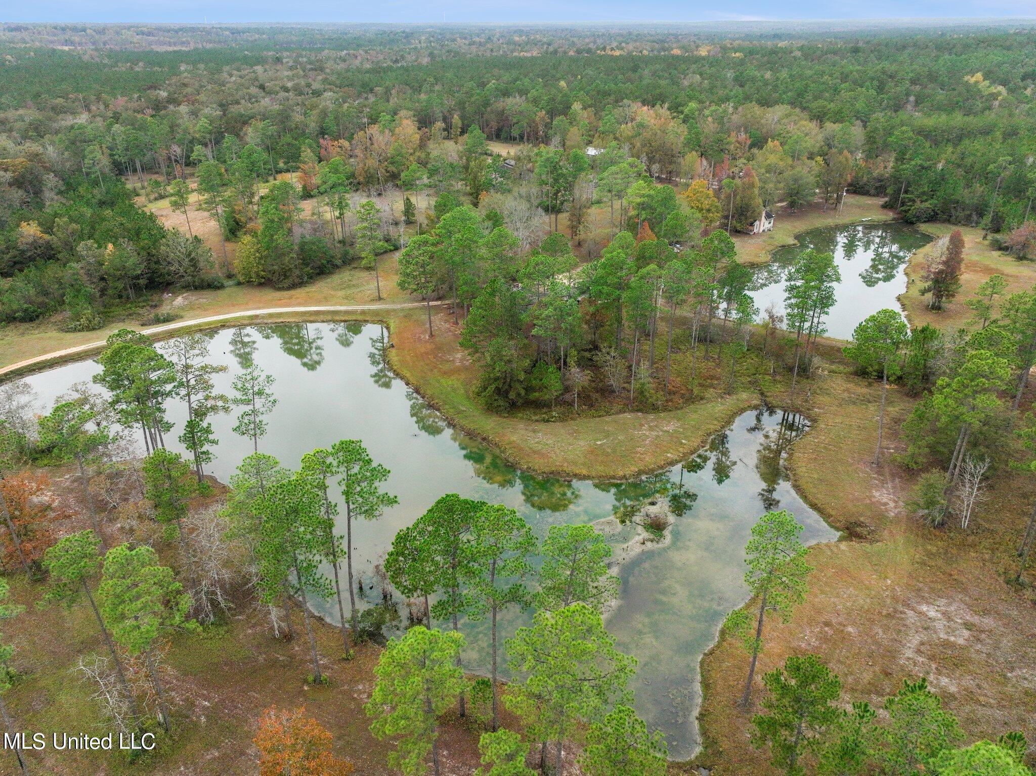 Nhn Robert Merrick Road Poplarville, MS 39470 - Photo 58 of 61 105