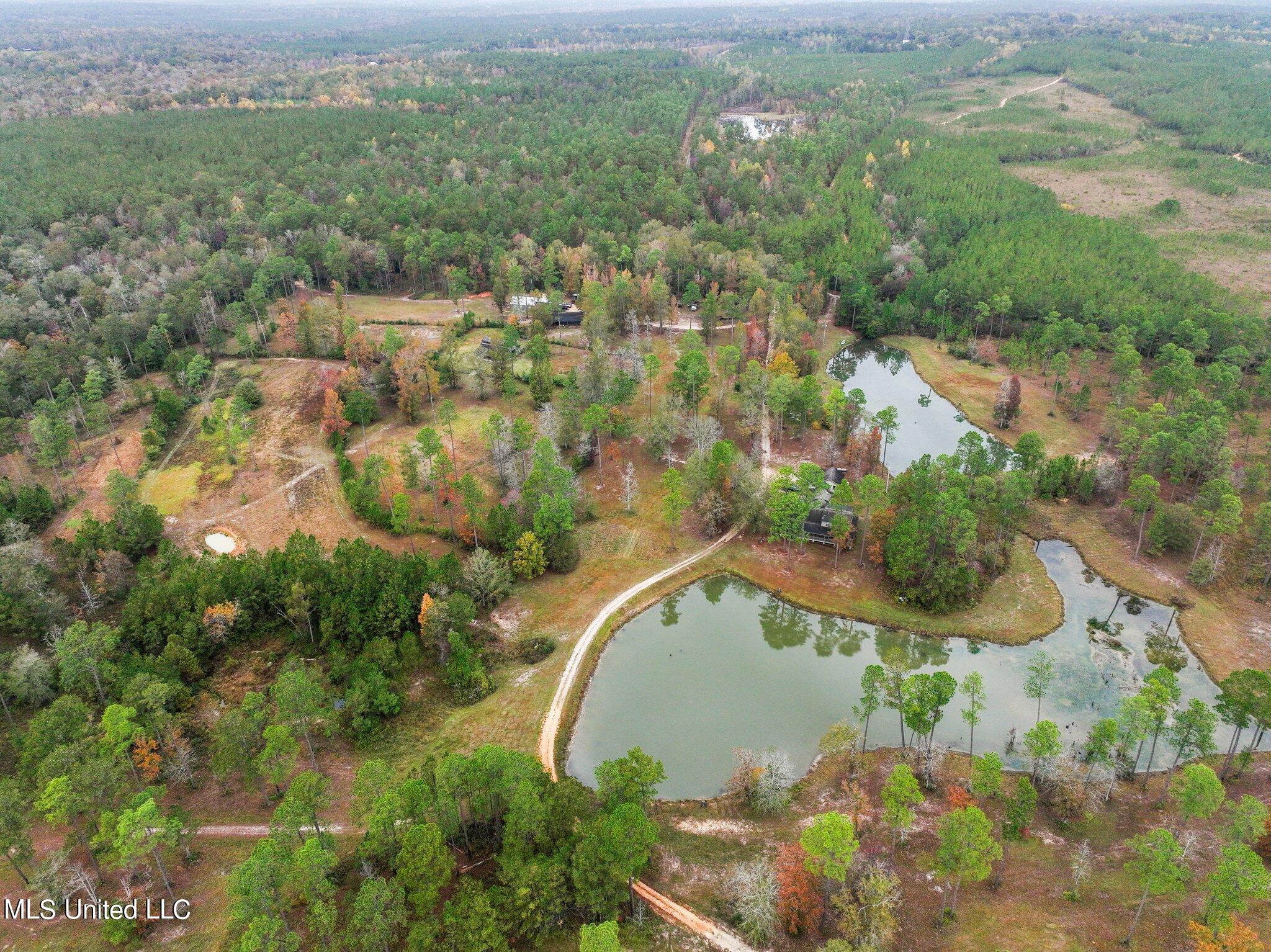 Nhn Robert Merrick Road Poplarville, MS 39470 - Photo 59 of 61 106
