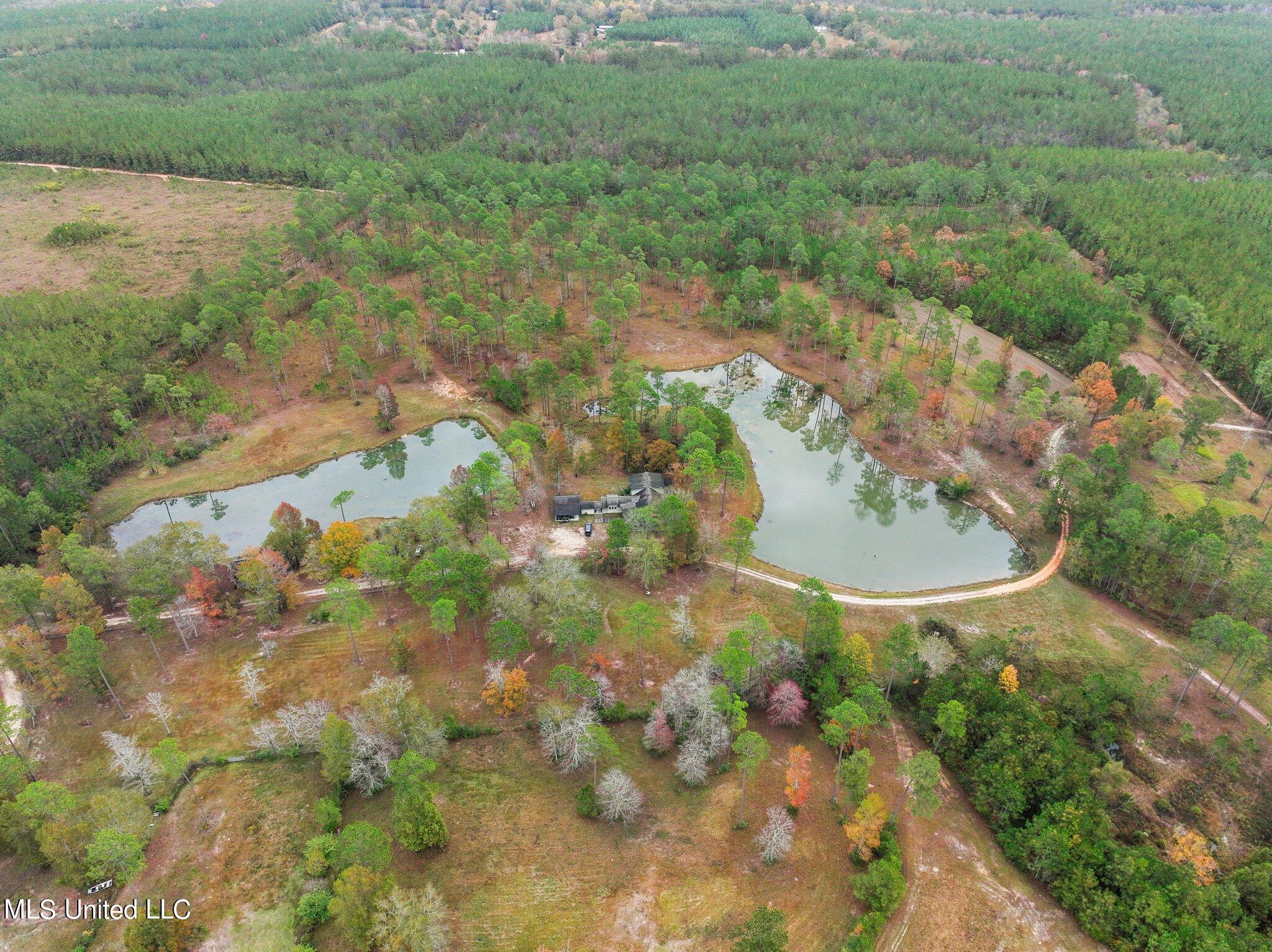 Nhn Robert Merrick Road Poplarville, MS 39470 - Photo 60 of 61 107