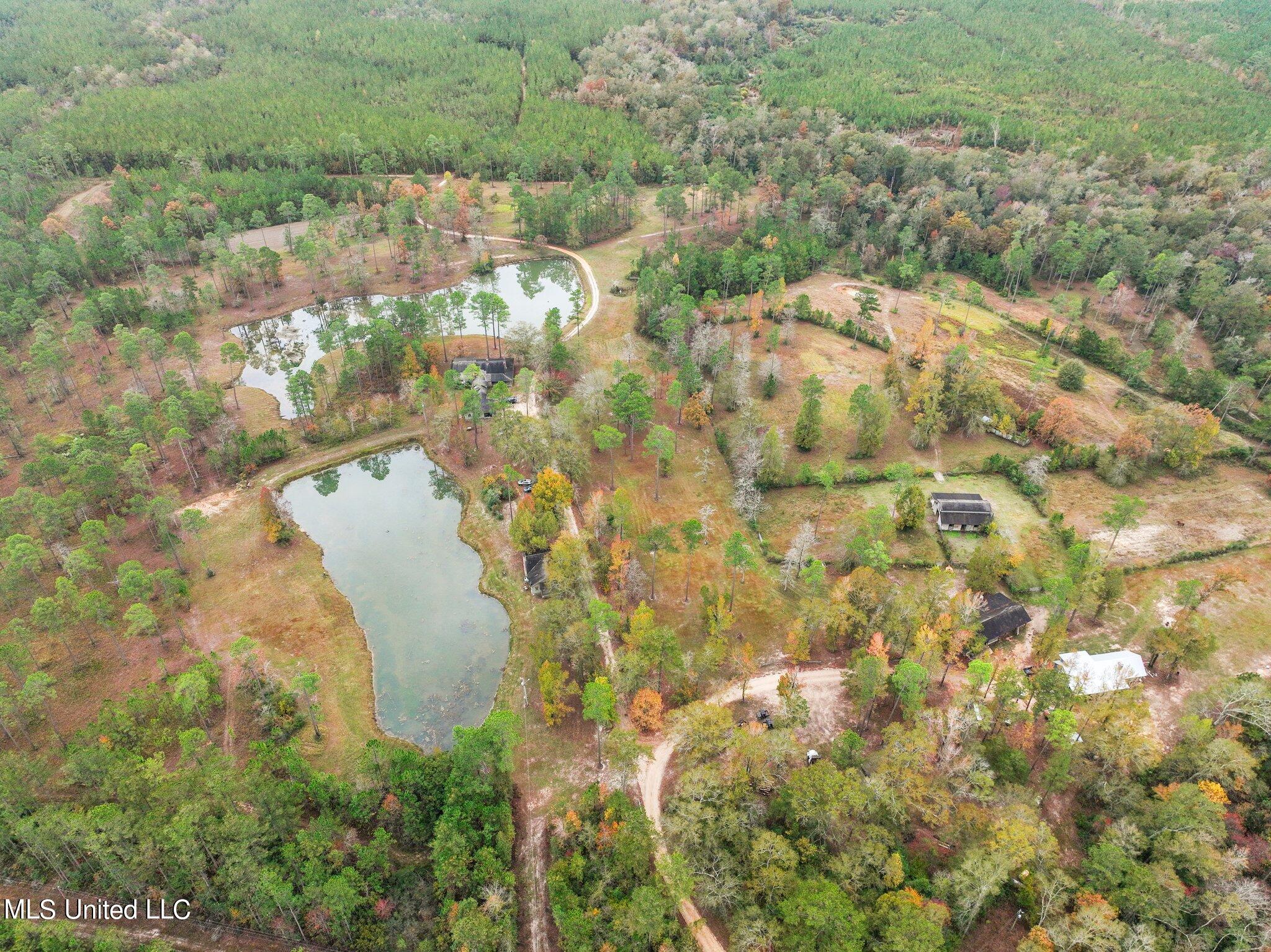 Nhn Robert Merrick Road Poplarville, MS 39470 - Photo 61 of 61 108