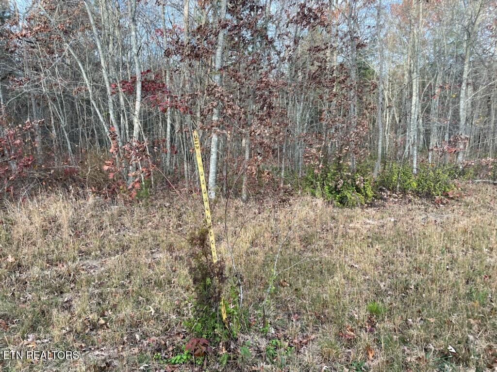 240 Perkins Trail Deer Lodge, TN 37726 - Photo 24 of 26 1000005576