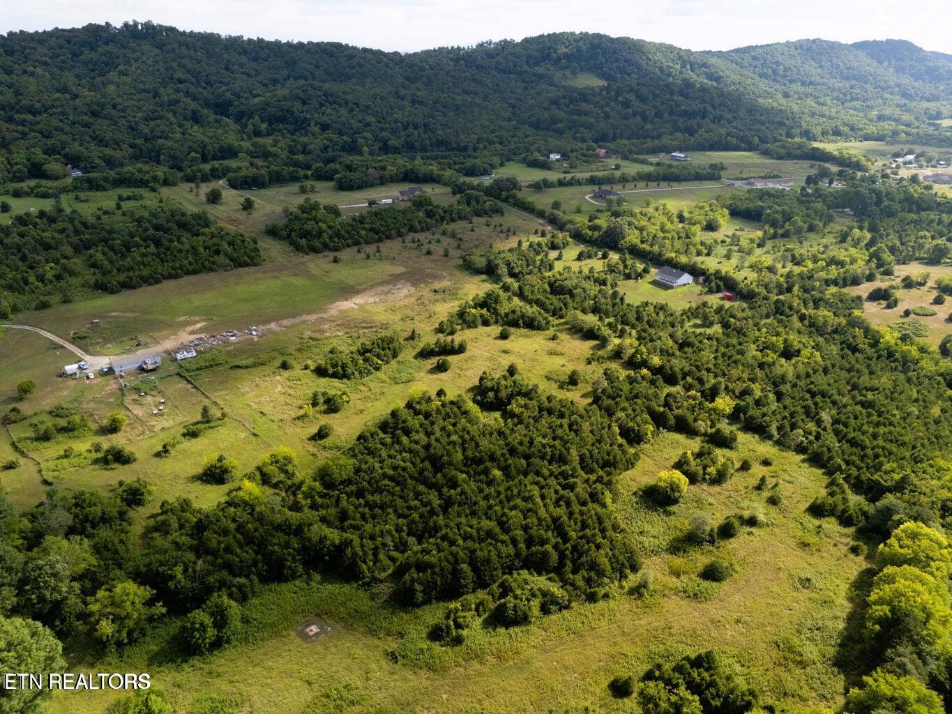 1106 Hinchey Hollow Road New Market, TN 37820 - Photo 4 of 4 20250806191447654105000000-o