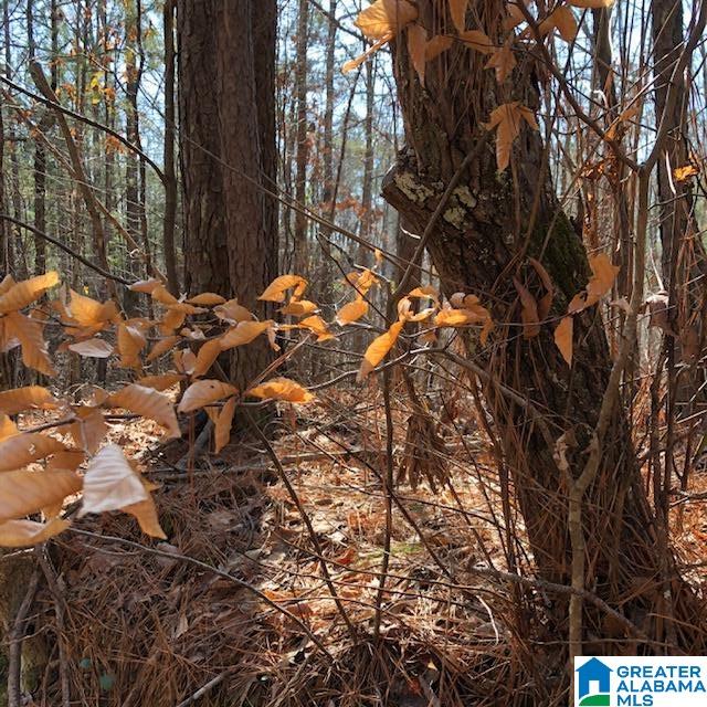 0 Blackjack Road, Unit 24 Trussville, AL 35173 - Photo 16 of 21