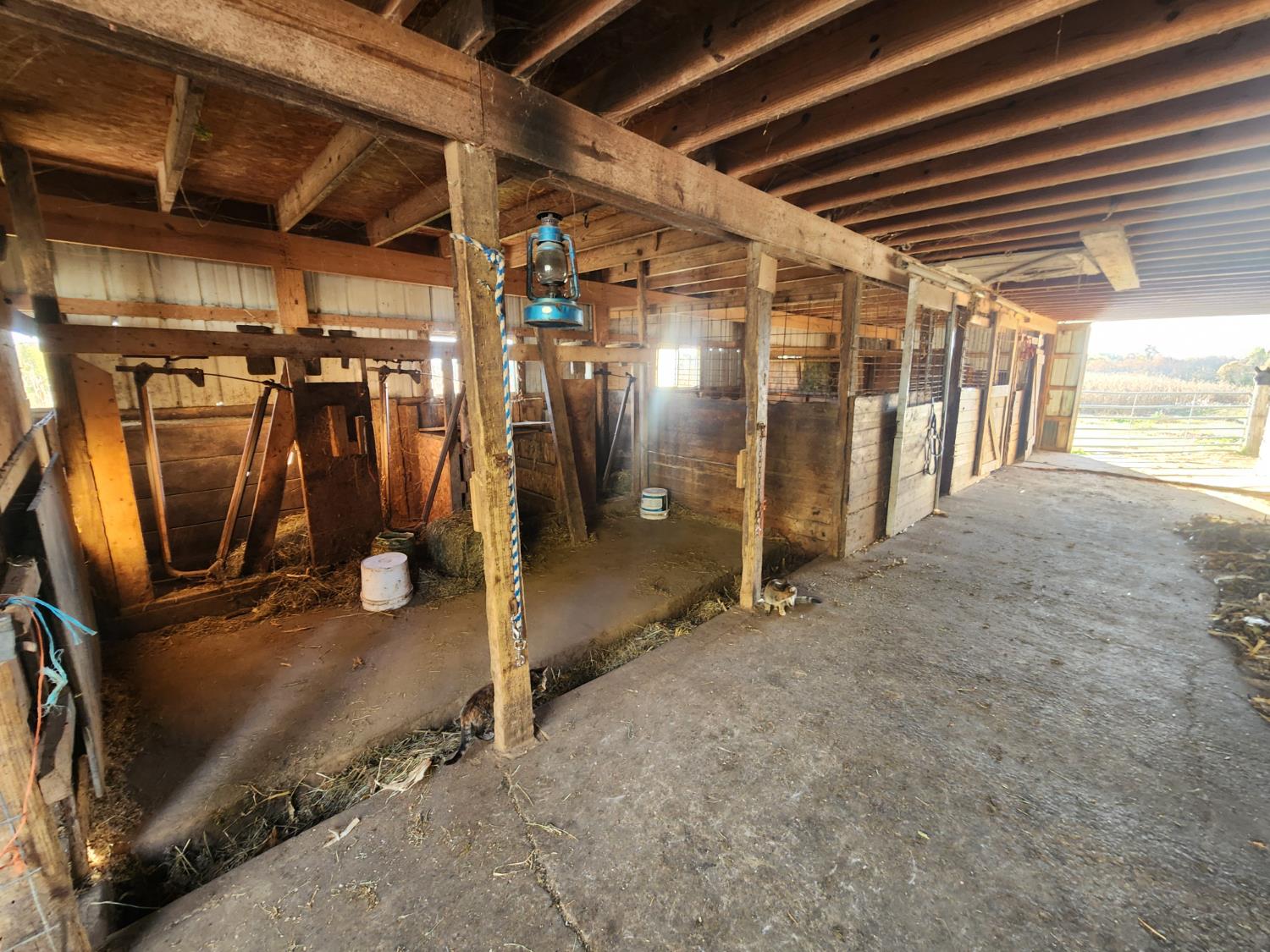 10941 Bennington Pike Vevay, IN 47043 - Photo 37 of 65