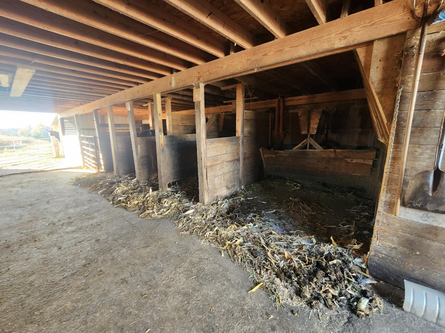 10941 Bennington Pike Vevay, IN 47043 - Photo 38 of 65