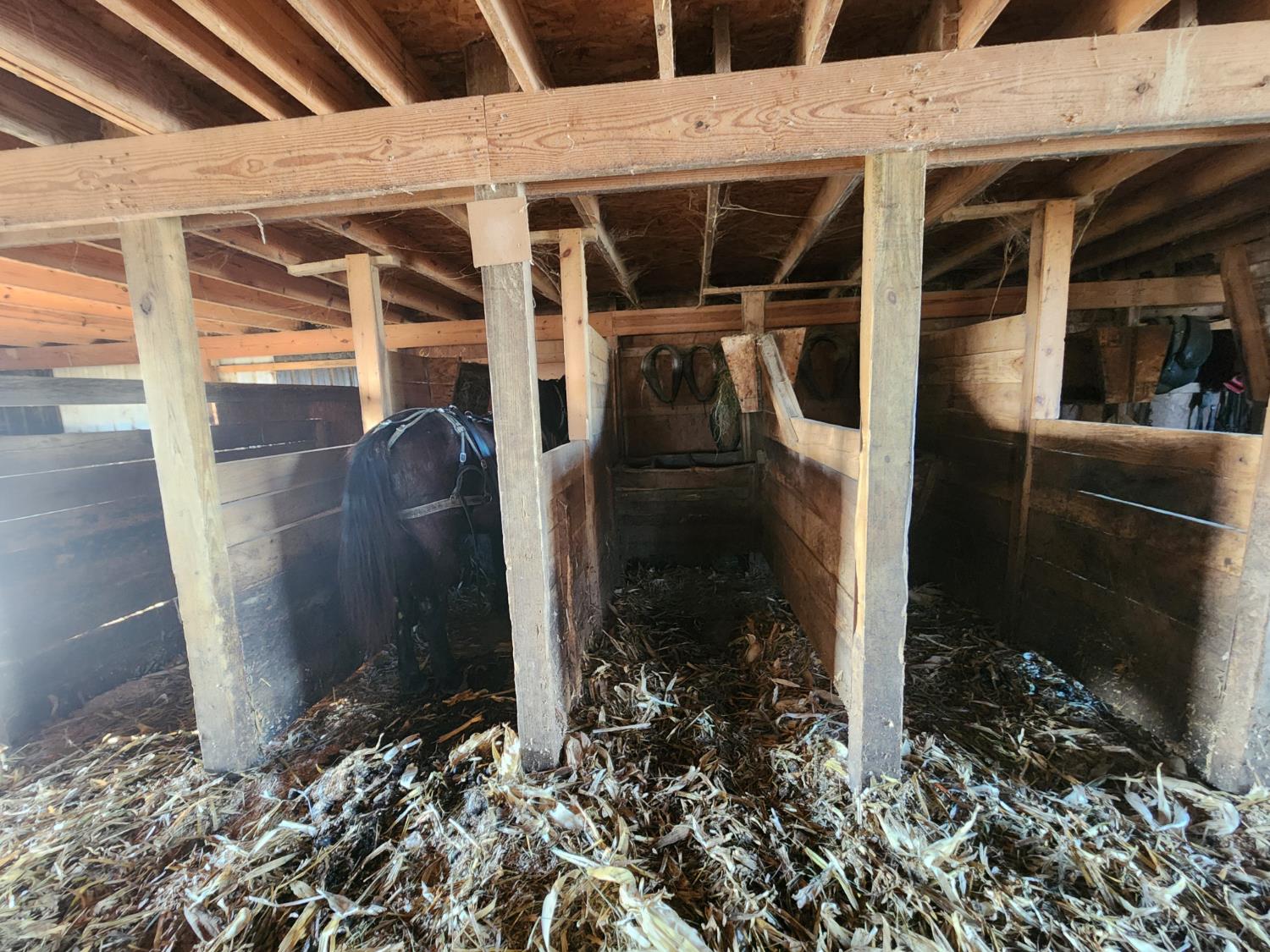 10941 Bennington Pike Vevay, IN 47043 - Photo 39 of 65