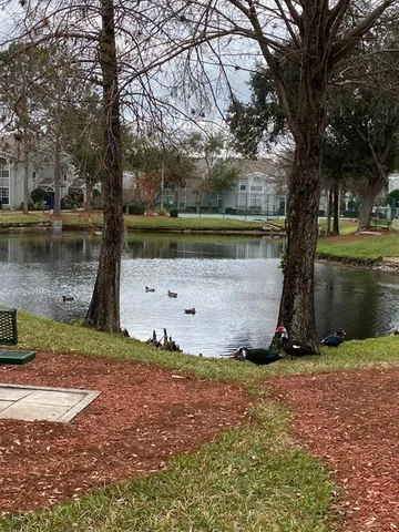 a view of outdoor space with garden