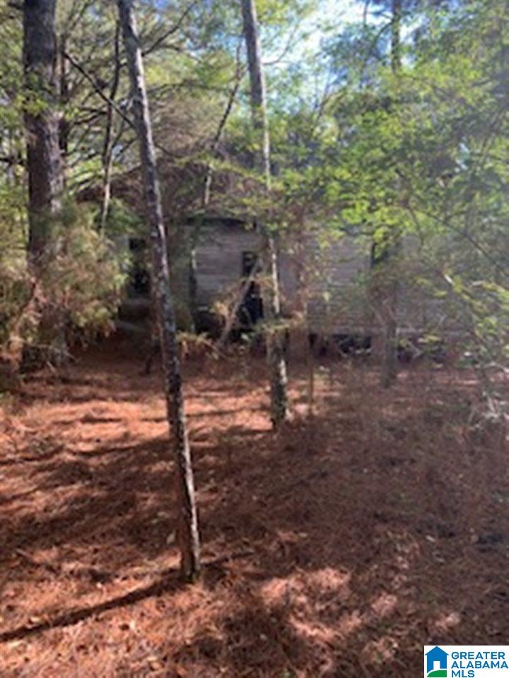 0 Blue Eye Springs Road, Unit 1 Lincoln, AL 35096 - Photo 18 of 24