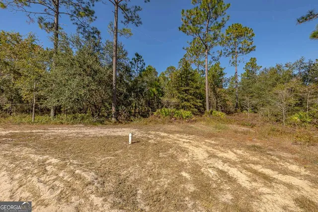 $214,900 | 3069 Mineral Springs Road, Waynesville, GA 31566