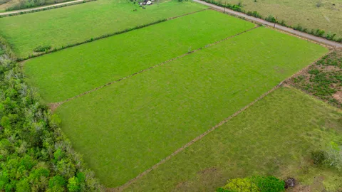 $631,000 | Tbd Pursley Boulevard, Rosharon, TX 77583