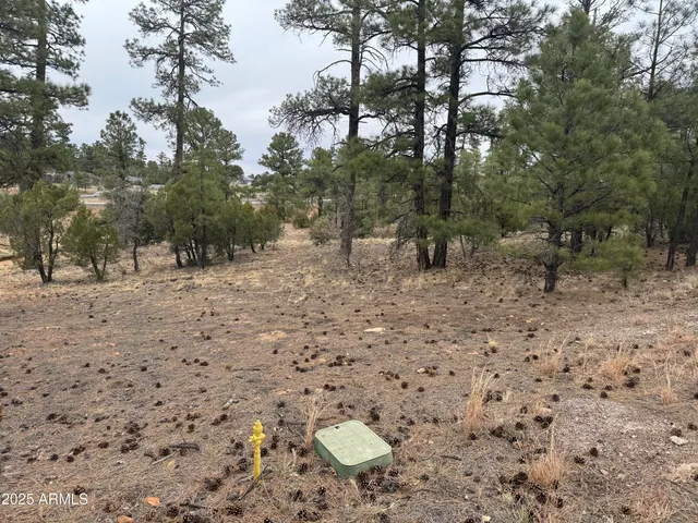 $90,000 | 40 Timber Ridge Loop, Unit 40, Show Low, AZ 85901