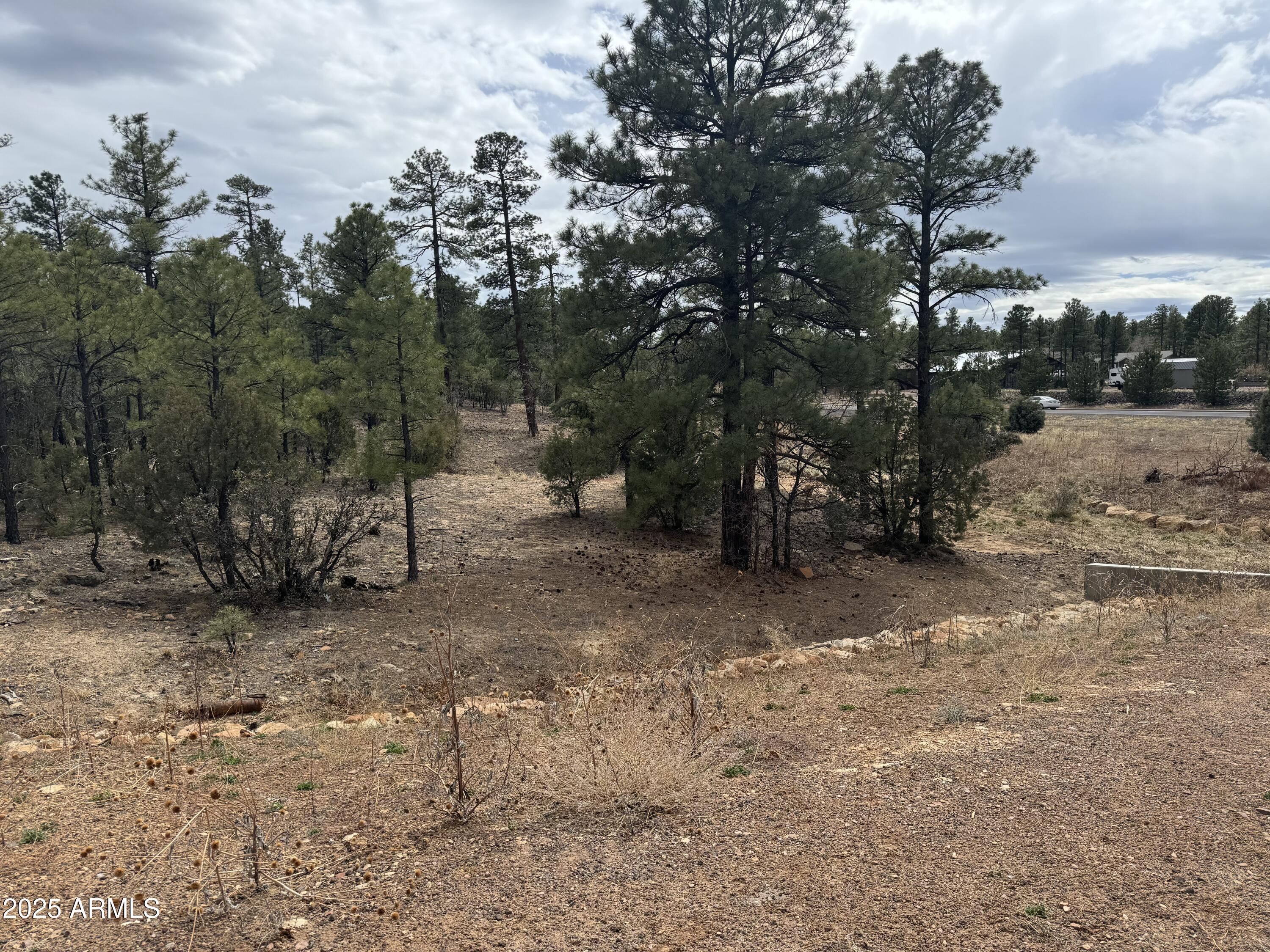 40 Timber Ridge Loop, Unit 40 Show Low, AZ 85901 - Photo 11 of 20 IMG_7867