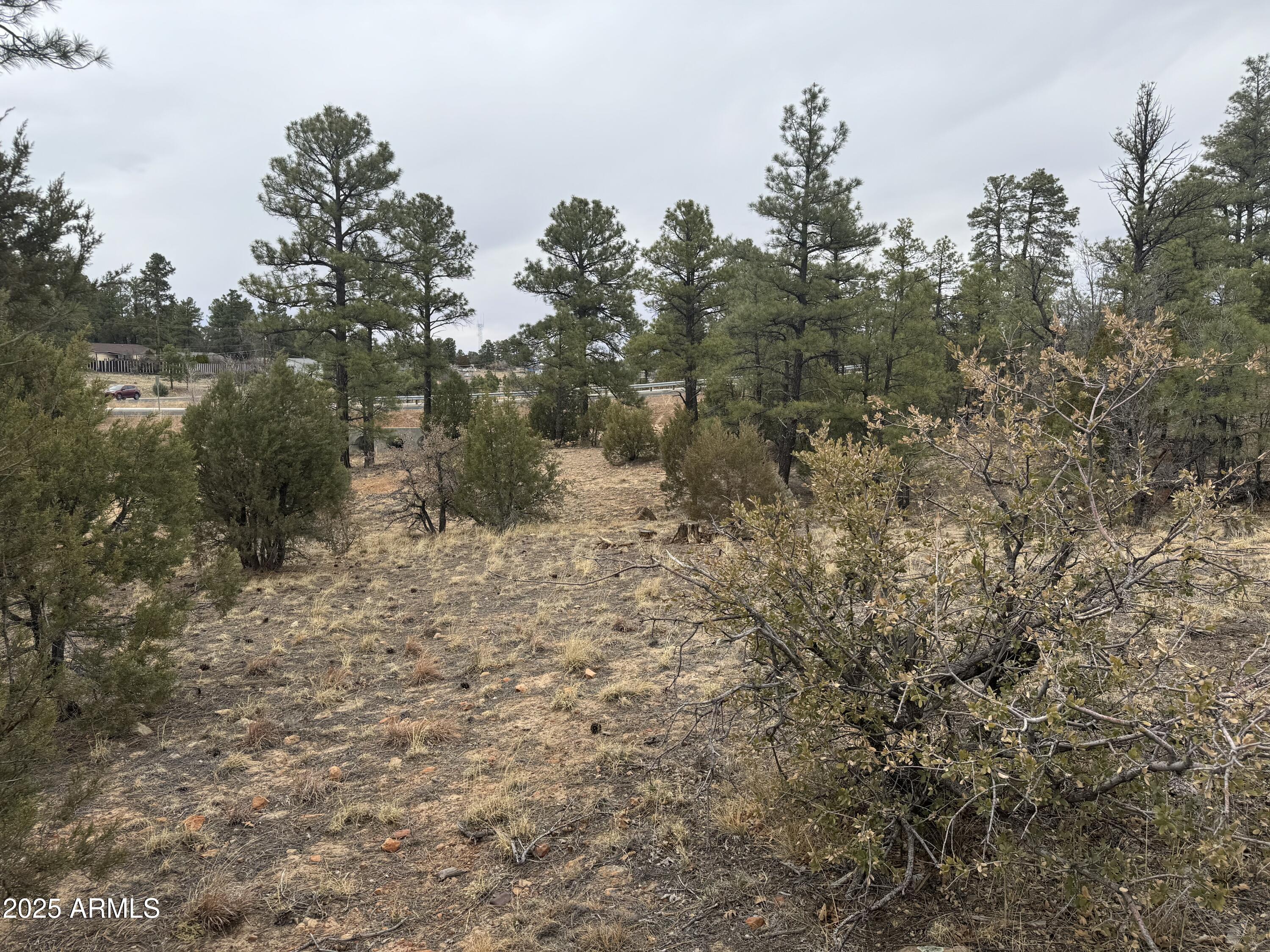 40 Timber Ridge Loop, Unit 40 Show Low, AZ 85901 - Photo 15 of 20 IMG_7852