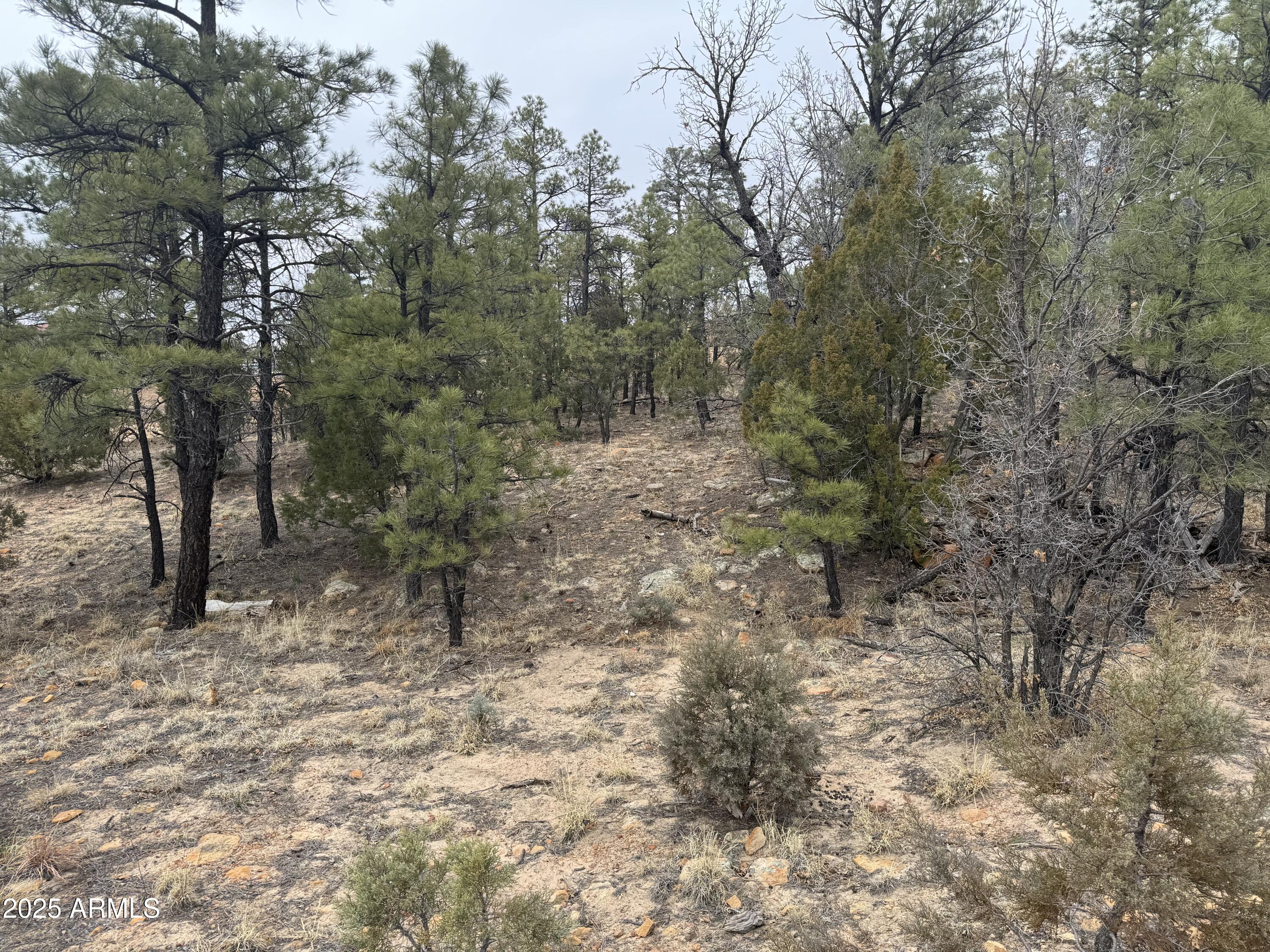 40 Timber Ridge Loop, Unit 40 Show Low, AZ 85901 - Photo 17 of 20 IMG_7854