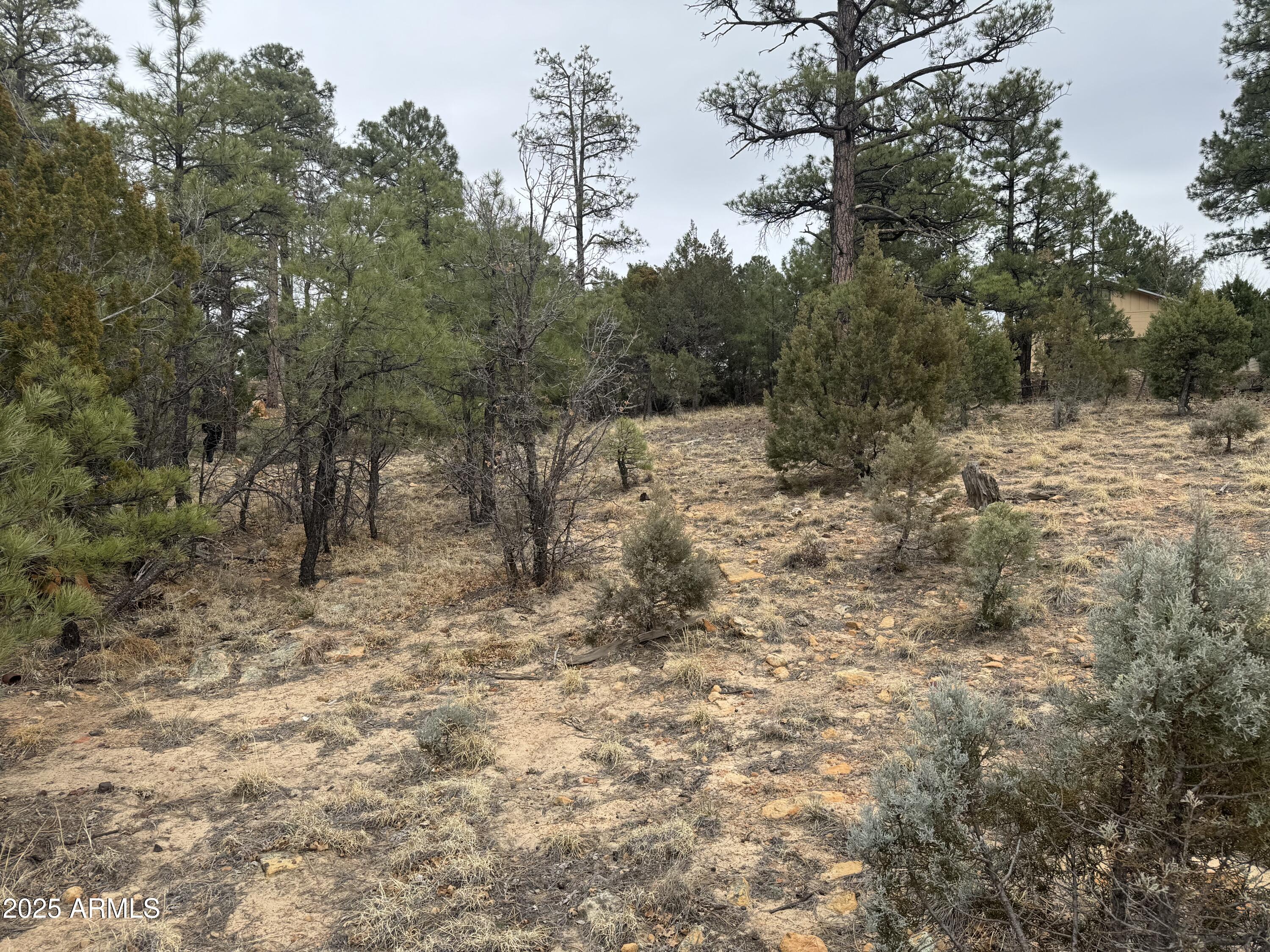 40 Timber Ridge Loop, Unit 40 Show Low, AZ 85901 - Photo 18 of 20 IMG_7855