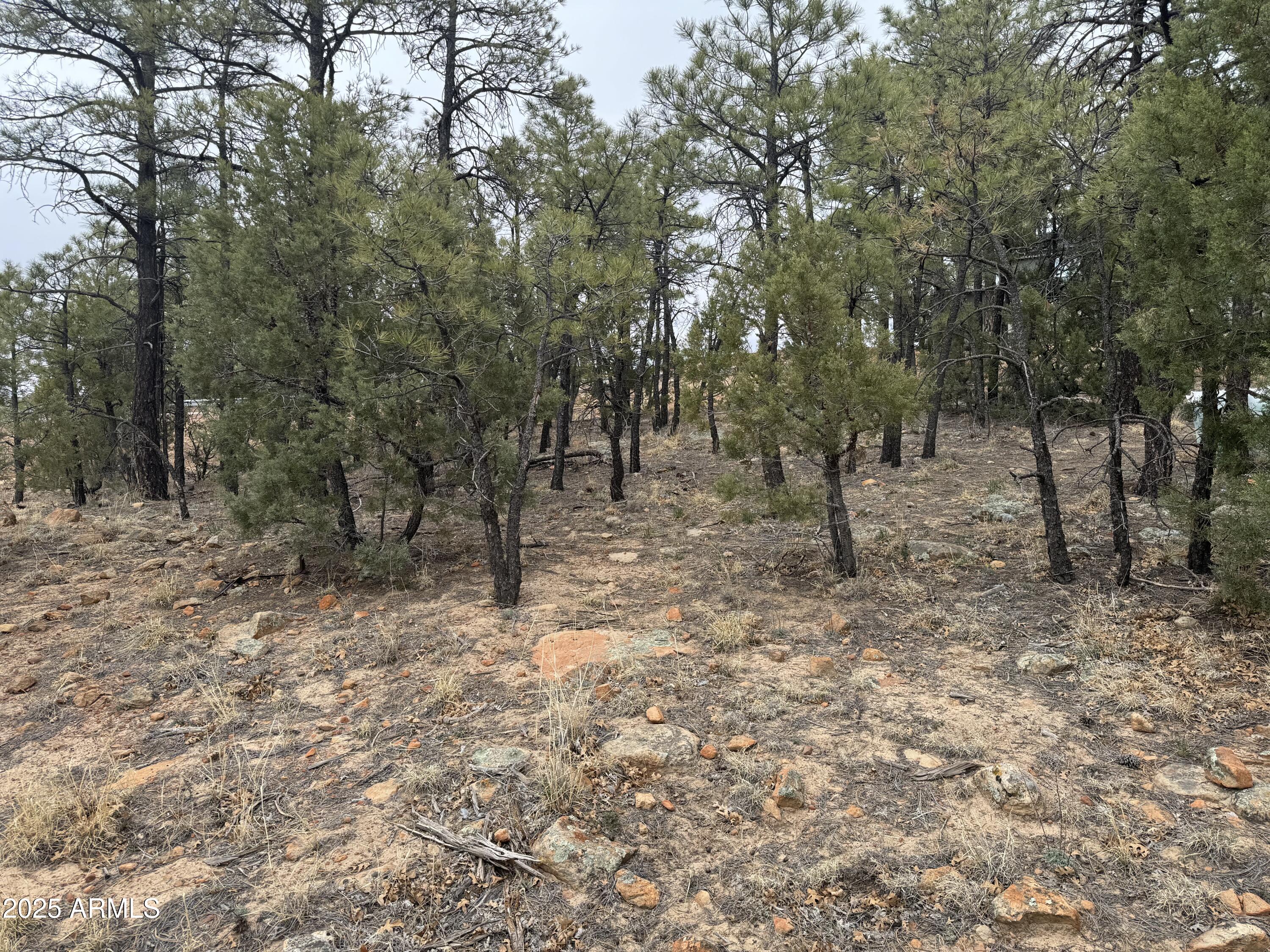 40 Timber Ridge Loop, Unit 40 Show Low, AZ 85901 - Photo 19 of 20 IMG_7856