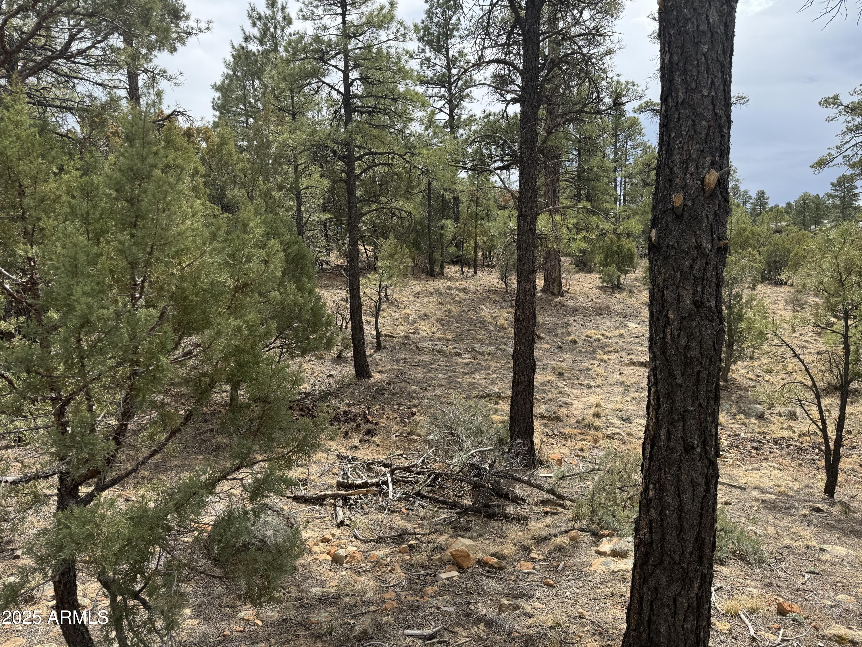 40 Timber Ridge Loop, Unit 40 Show Low, AZ 85901 - Photo 20 of 20 IMG_7857