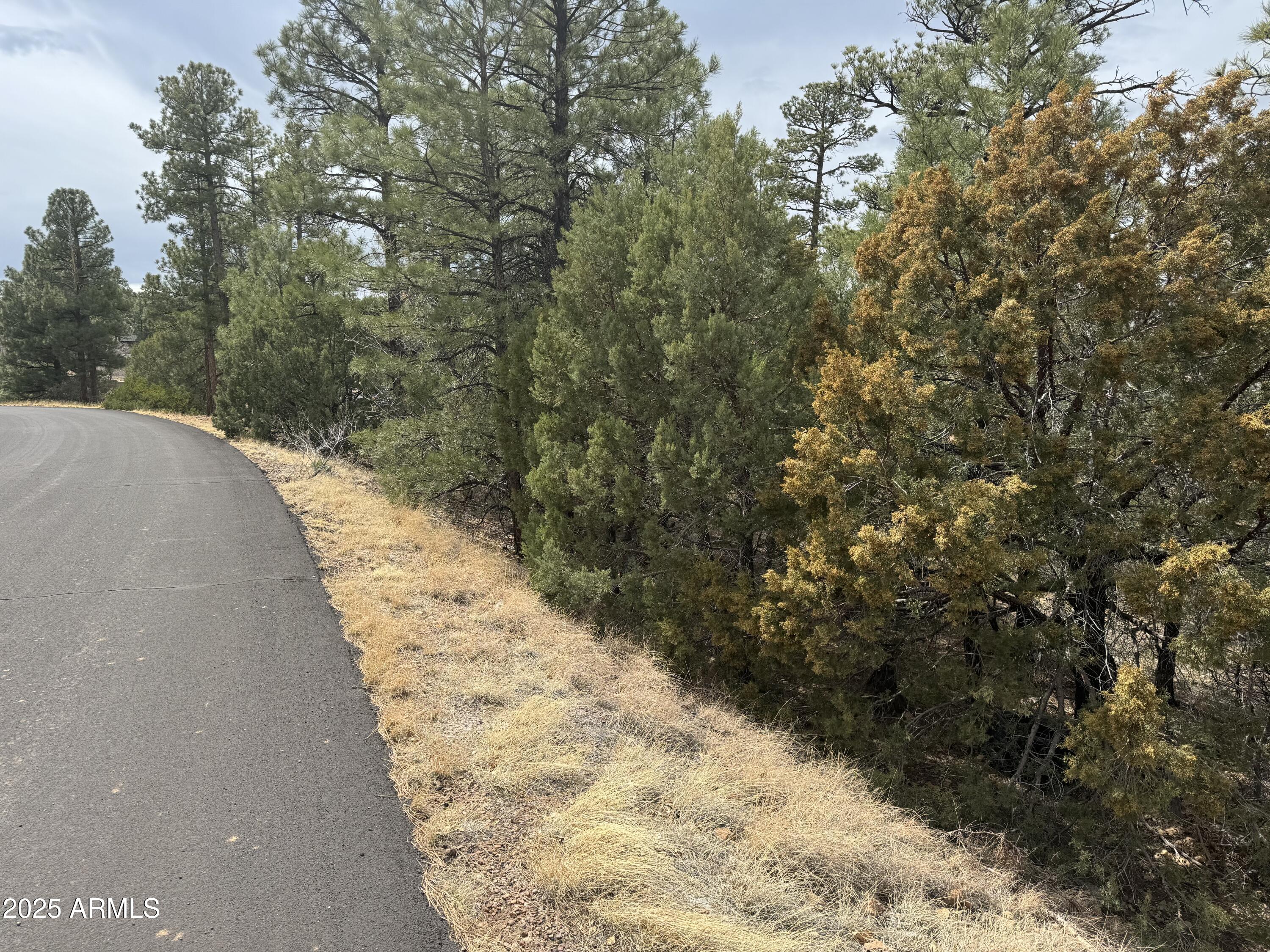 40 Timber Ridge Loop, Unit 40 Show Low, AZ 85901 - Photo 2 of 20 IMG_7858