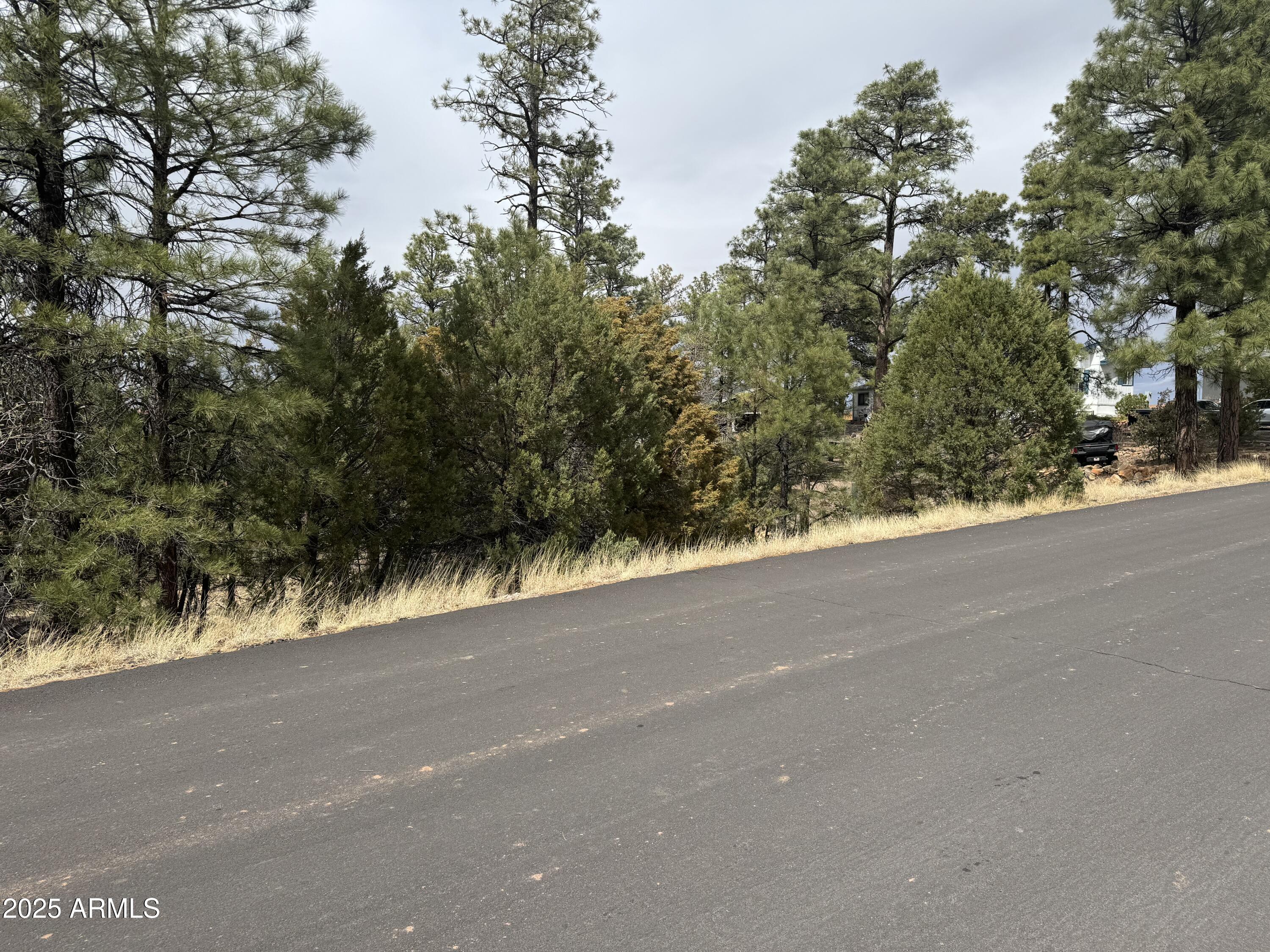 40 Timber Ridge Loop, Unit 40 Show Low, AZ 85901 - Photo 3 of 20 IMG_7859