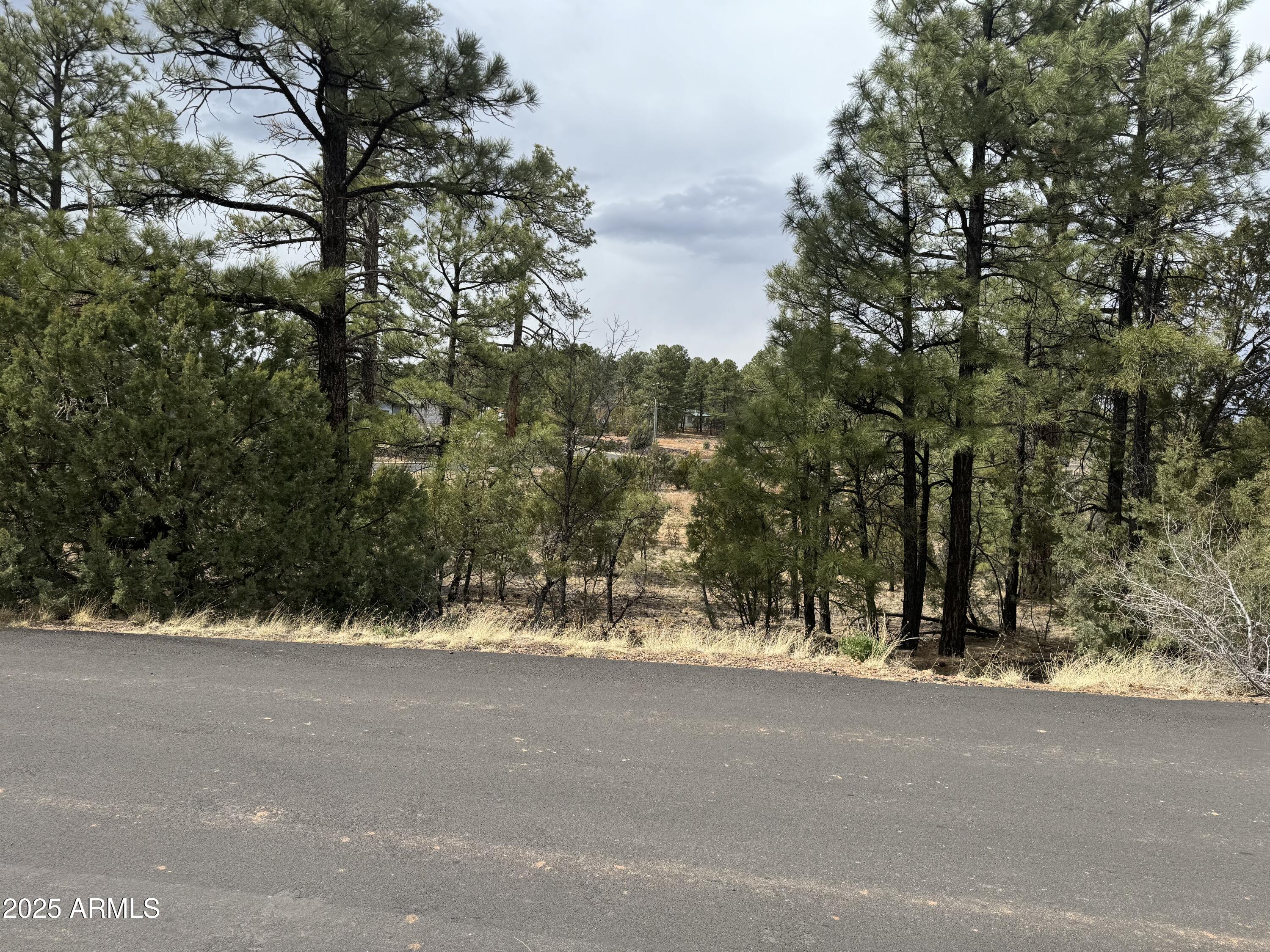 40 Timber Ridge Loop, Unit 40 Show Low, AZ 85901 - Photo 4 of 20 IMG_7860