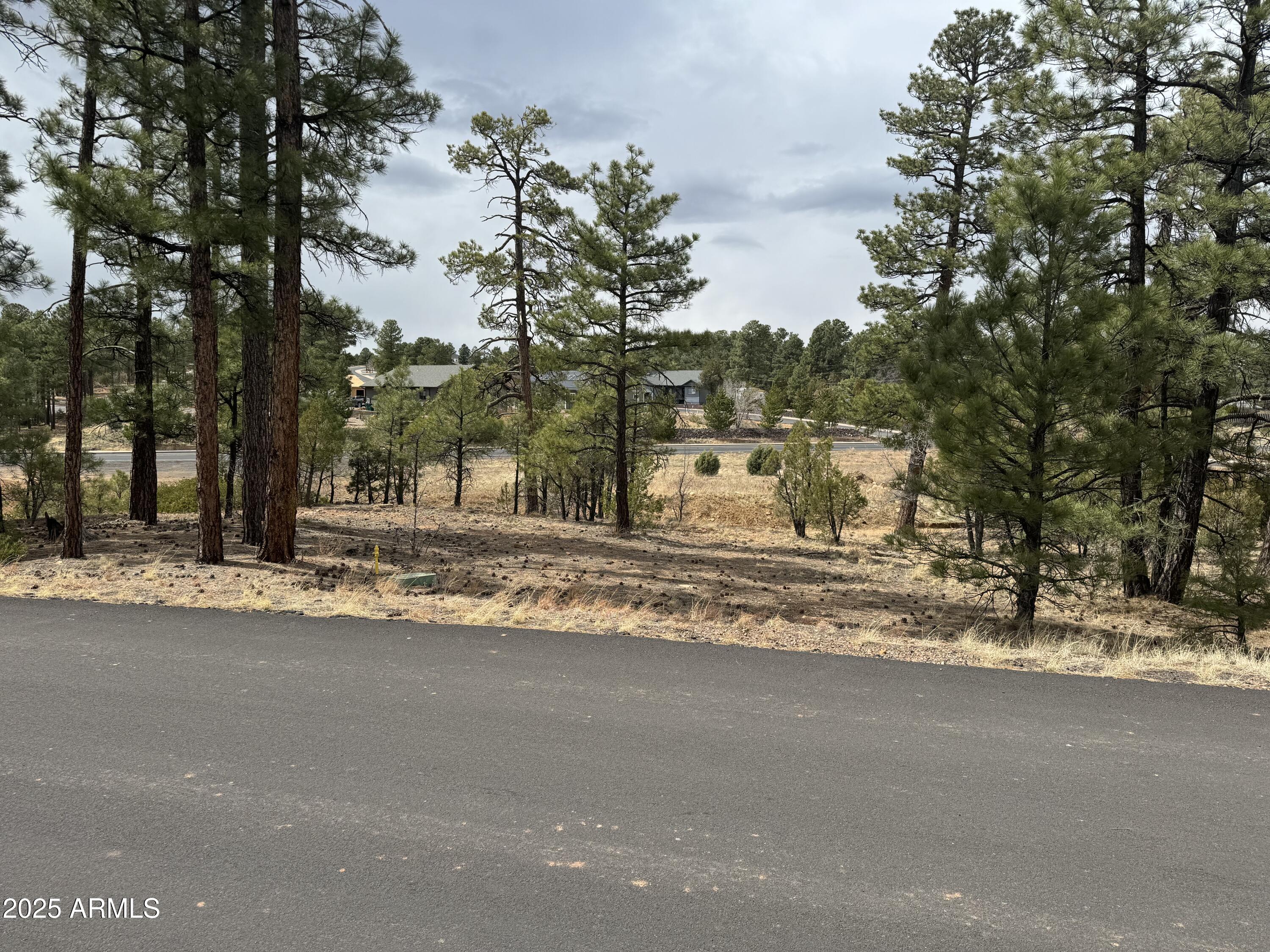 40 Timber Ridge Loop, Unit 40 Show Low, AZ 85901 - Photo 5 of 20 IMG_7861