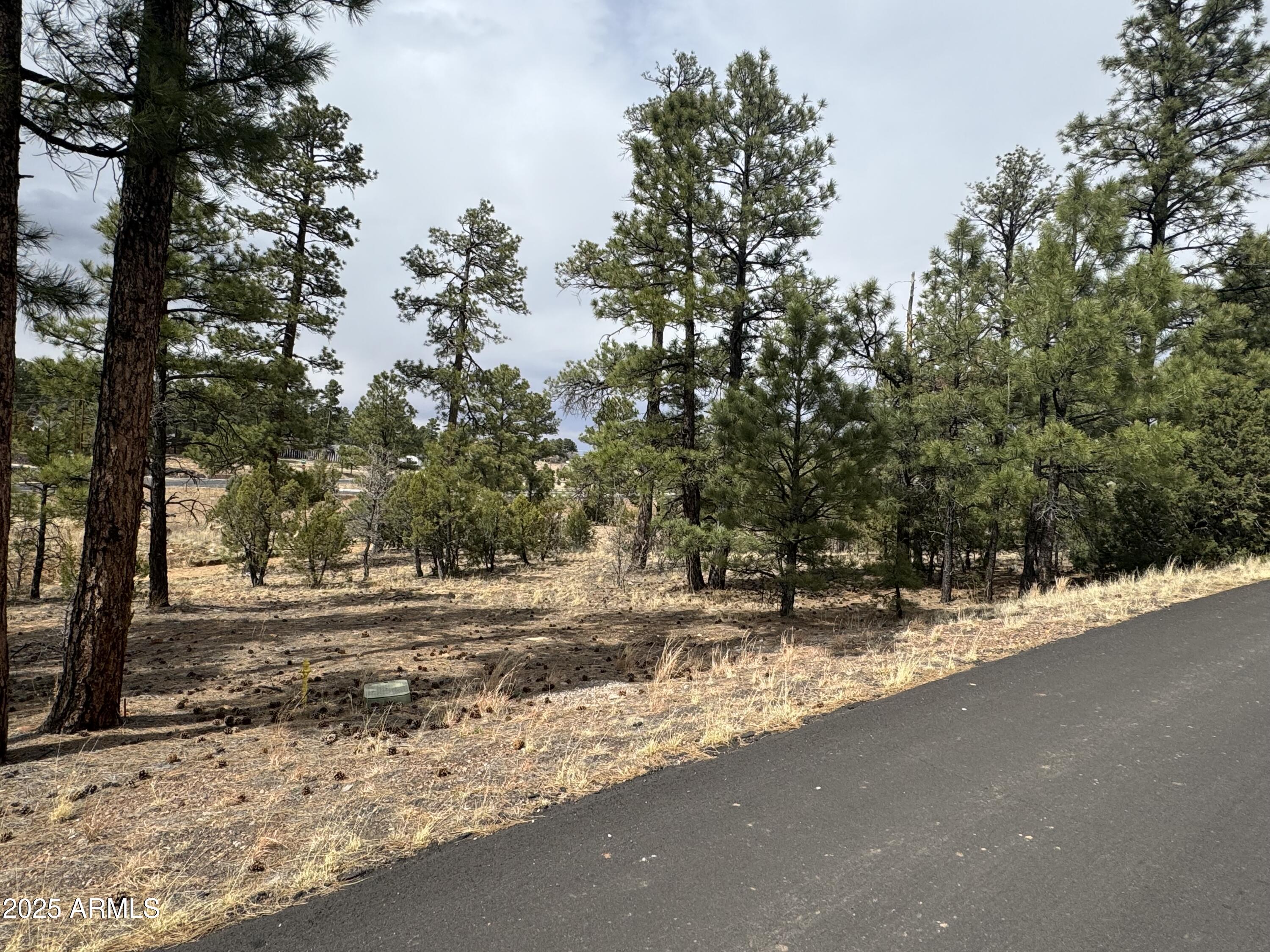 40 Timber Ridge Loop, Unit 40 Show Low, AZ 85901 - Photo 6 of 20 IMG_7862